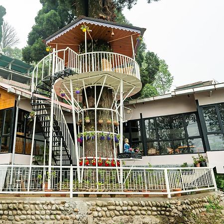 Arcadia Heritage Resort ダージリン エクステリア 写真